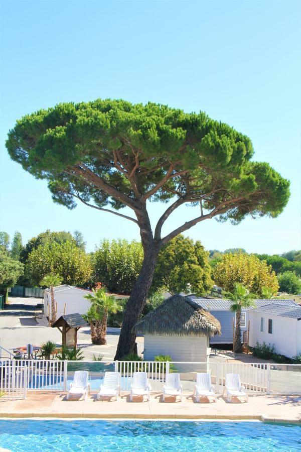 La Pinede Camping Grimaud Εξωτερικό φωτογραφία